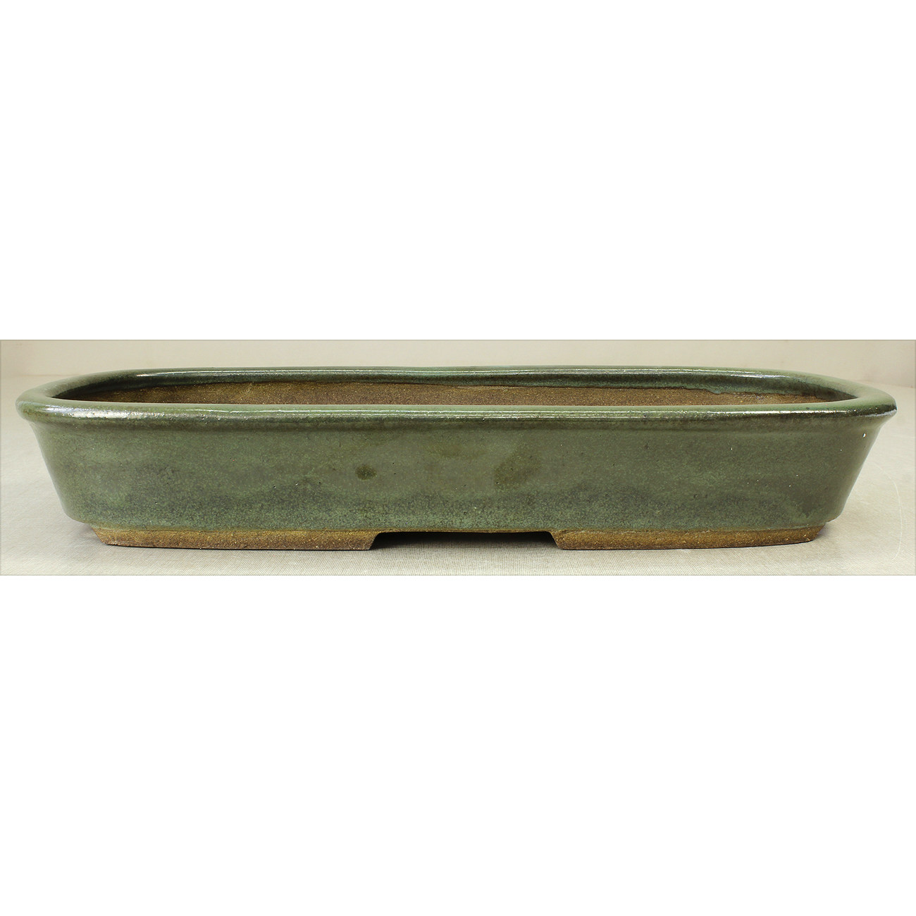 Bonsai pot JTAE791 EJIRI TAIZAN View 2