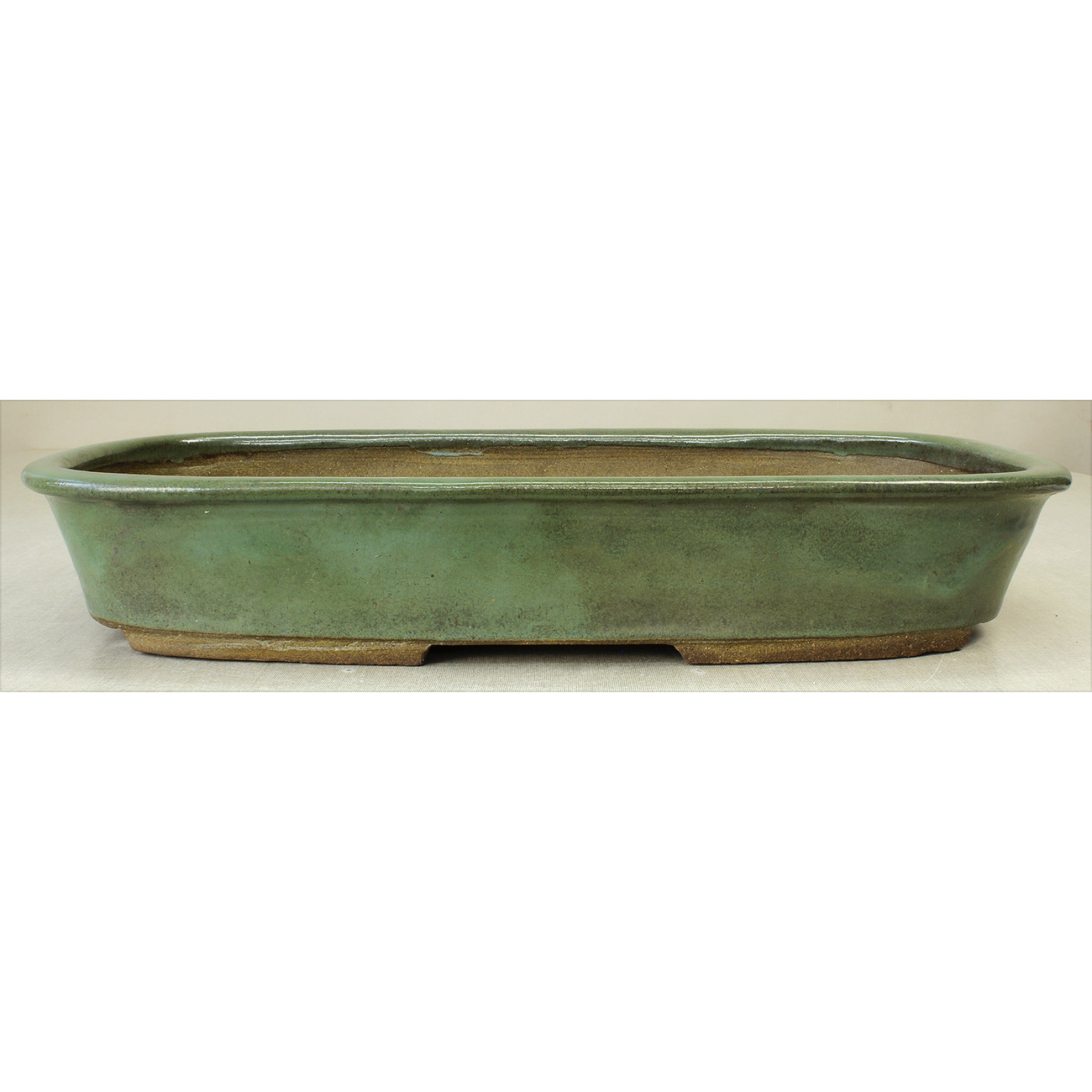 Bonsai pot JTAE801 EJIRI TAIZAN