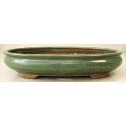 Bonsai pot JTAE281 EJIRI TAIZAN