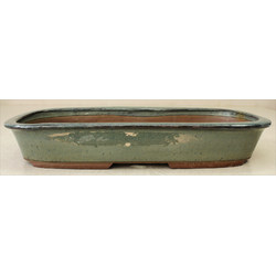 Bonsai pot JTAE821 EJIRI TAIZAN