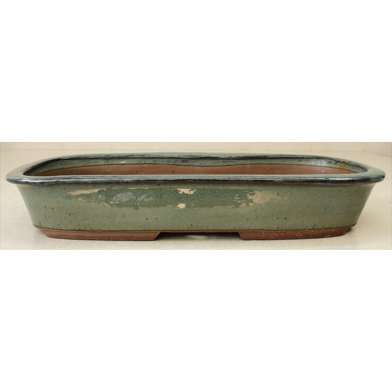 Bonsai pot JTAE821 EJIRI TAIZAN