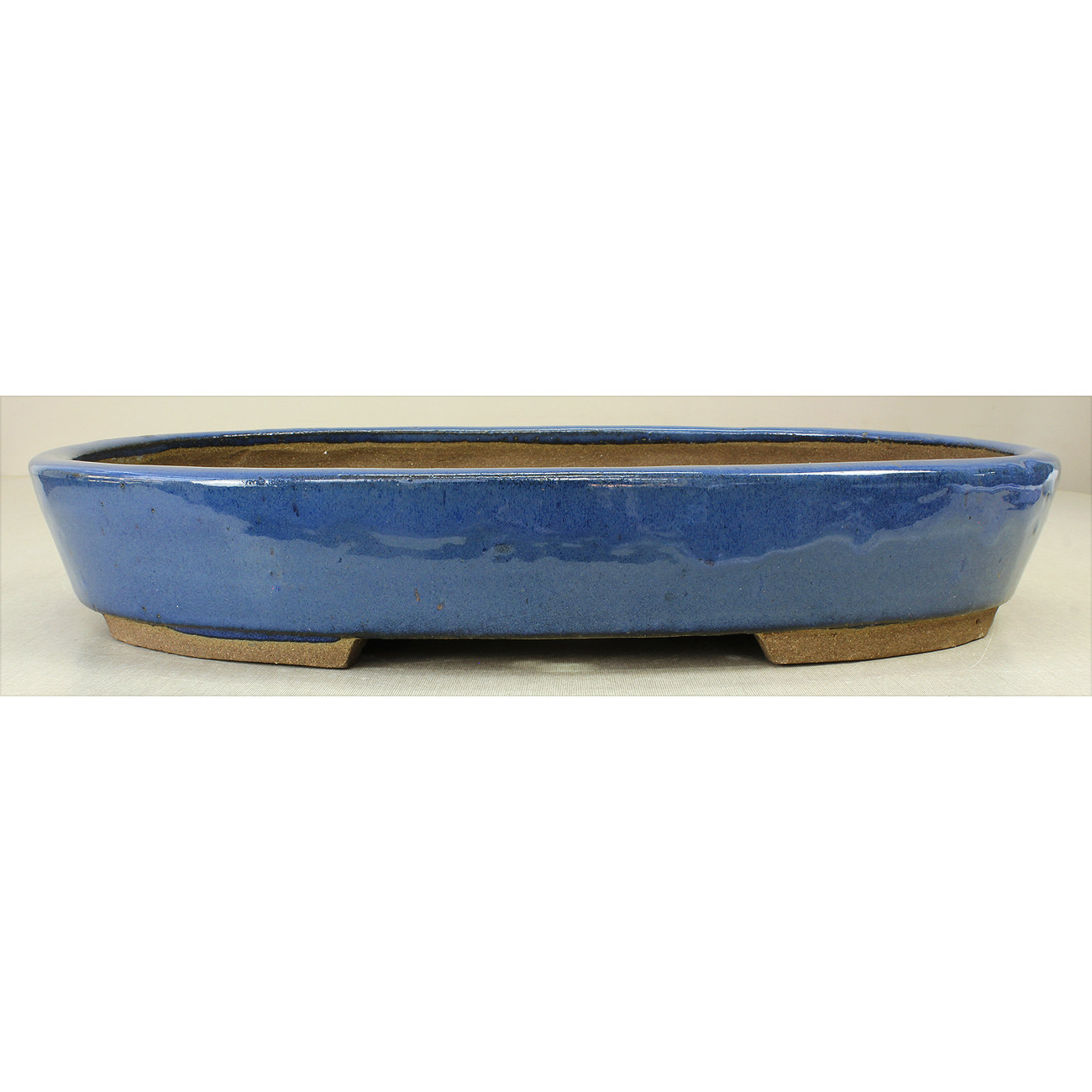 Bonsai pot JTAE582 EJIRI TAIZAN