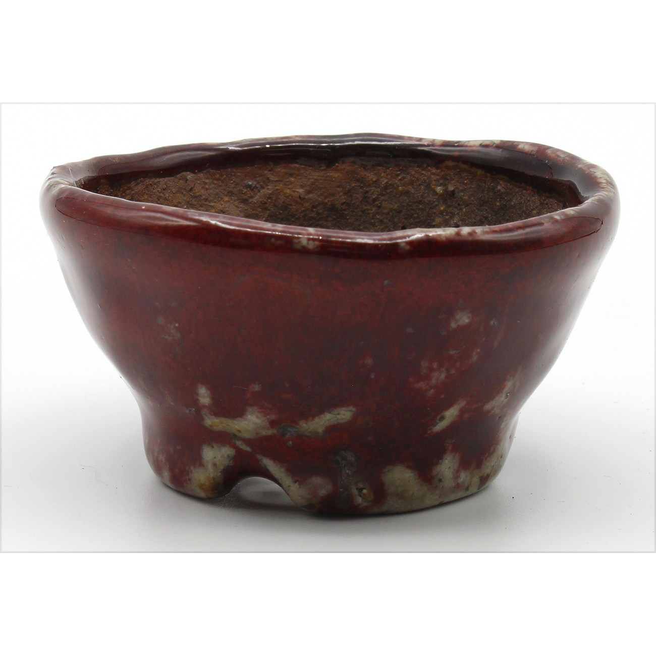 Bonsai pot JTAP1016 BUNZAN ECHIZEN