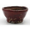 Bonsai pot JTAP1016 BUNZAN ECHIZEN