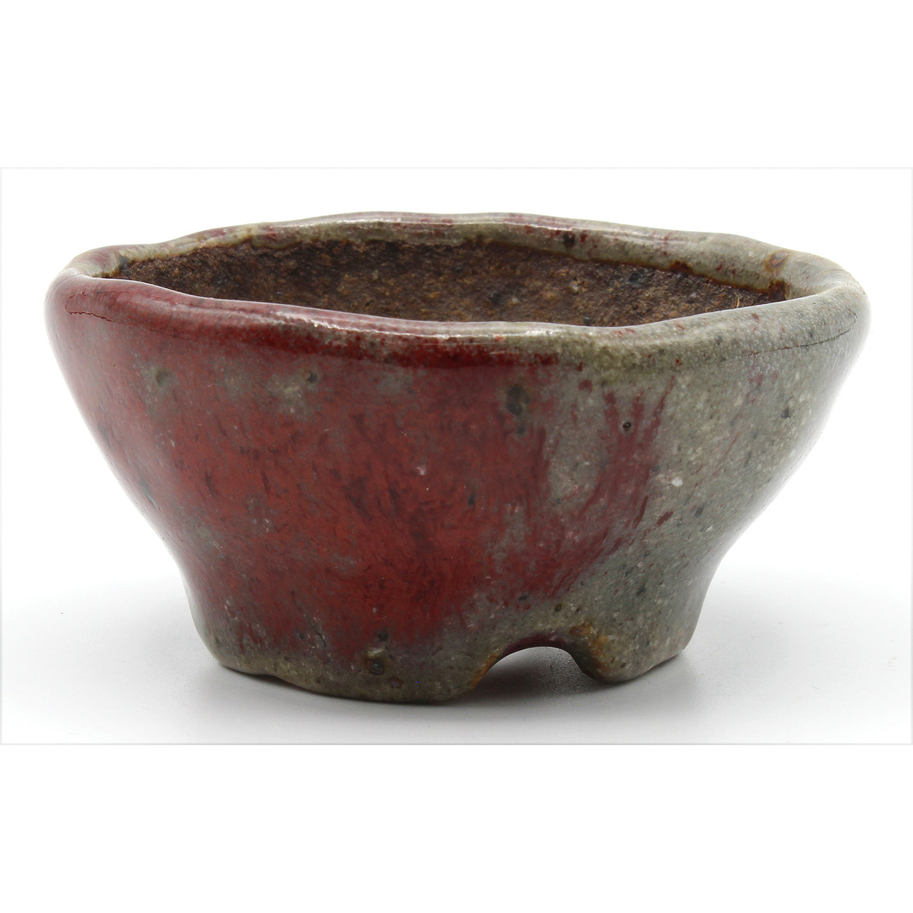 Bonsai pot JTAP1026 BUNZAN ECHIZEN