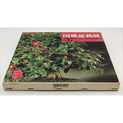 LIBRO EXP. KOKUFU 57