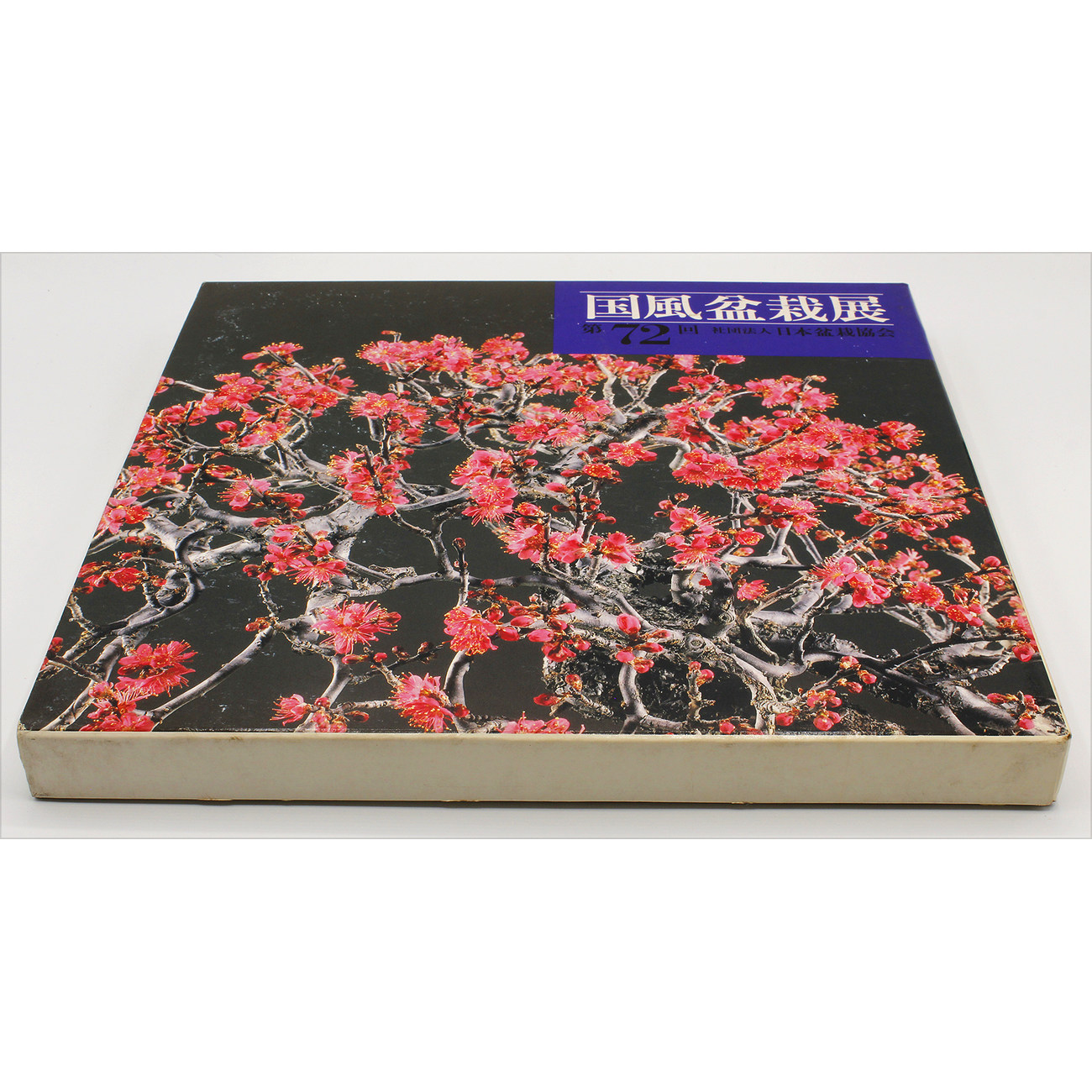 Kokufu 72 exhibition book -1998-