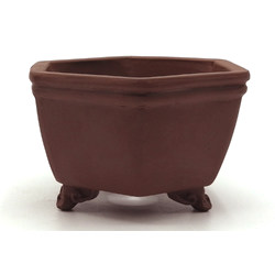 Bonsai pot CCH054