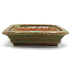 Bonsai pot TOK335 HATTORI