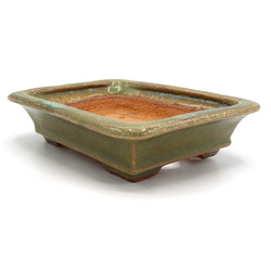 Bonsai pot TOK335 HATTORI View 2