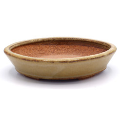 Bonsai pot TOK332 HATTORI