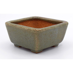 Bonsai pot TOK338 HATTORI