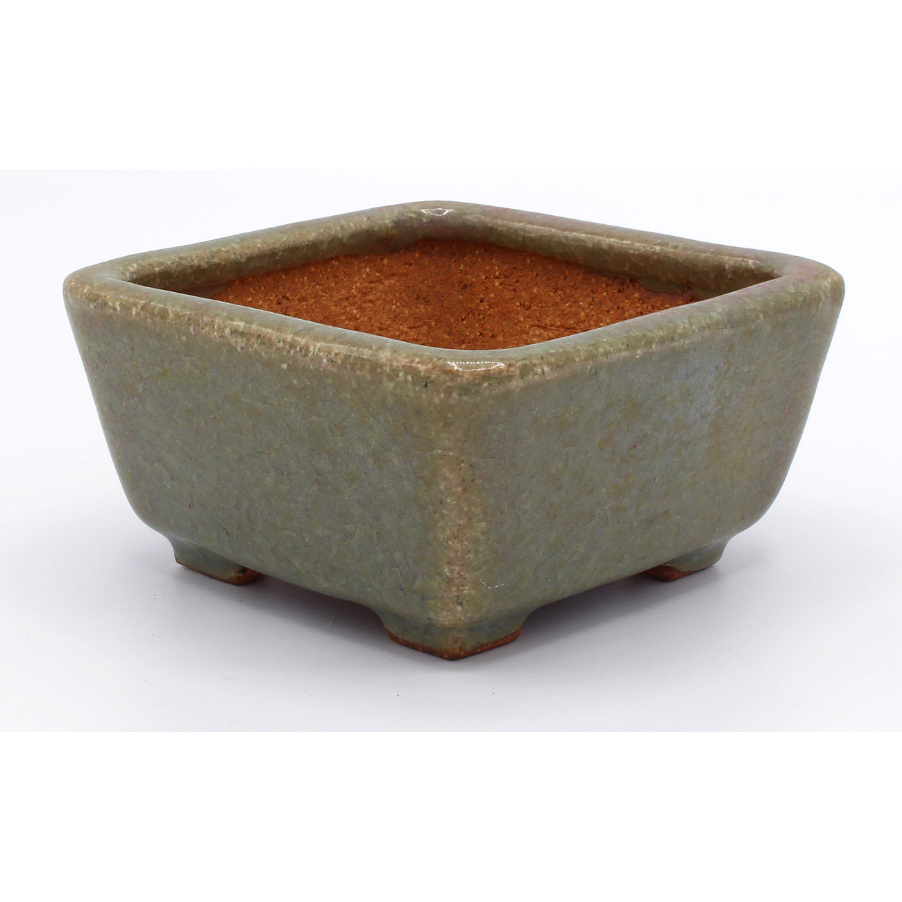 Bonsai pot TOK338 HATTORI