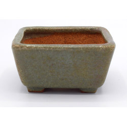 Bonsai pot TOK338 HATTORI View 2