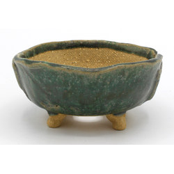 Bonsai pot TOK384 SHIBAKATSU