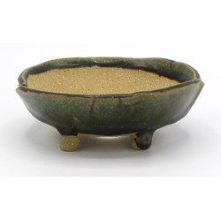 Bonsai pot TOK386 SHIBAKATSU View 2