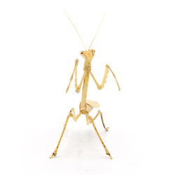 Tenpai bambú 67 mantis religiosa Vista 2