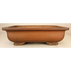 Bonsai pot JTA6015 IZUMI-YA ZENIGO