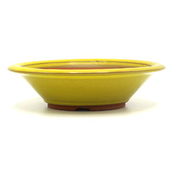 Bonsai pot BIG036 BIGEI