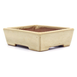 Bonsai pot JTAP1107 YAMAFUSA TAKEHIKO View 2