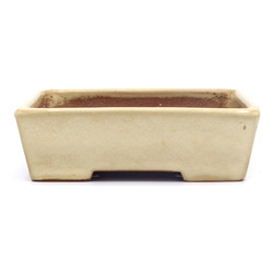 Bonsai pot JTAP1107 YAMAFUSA TAKEHIKO