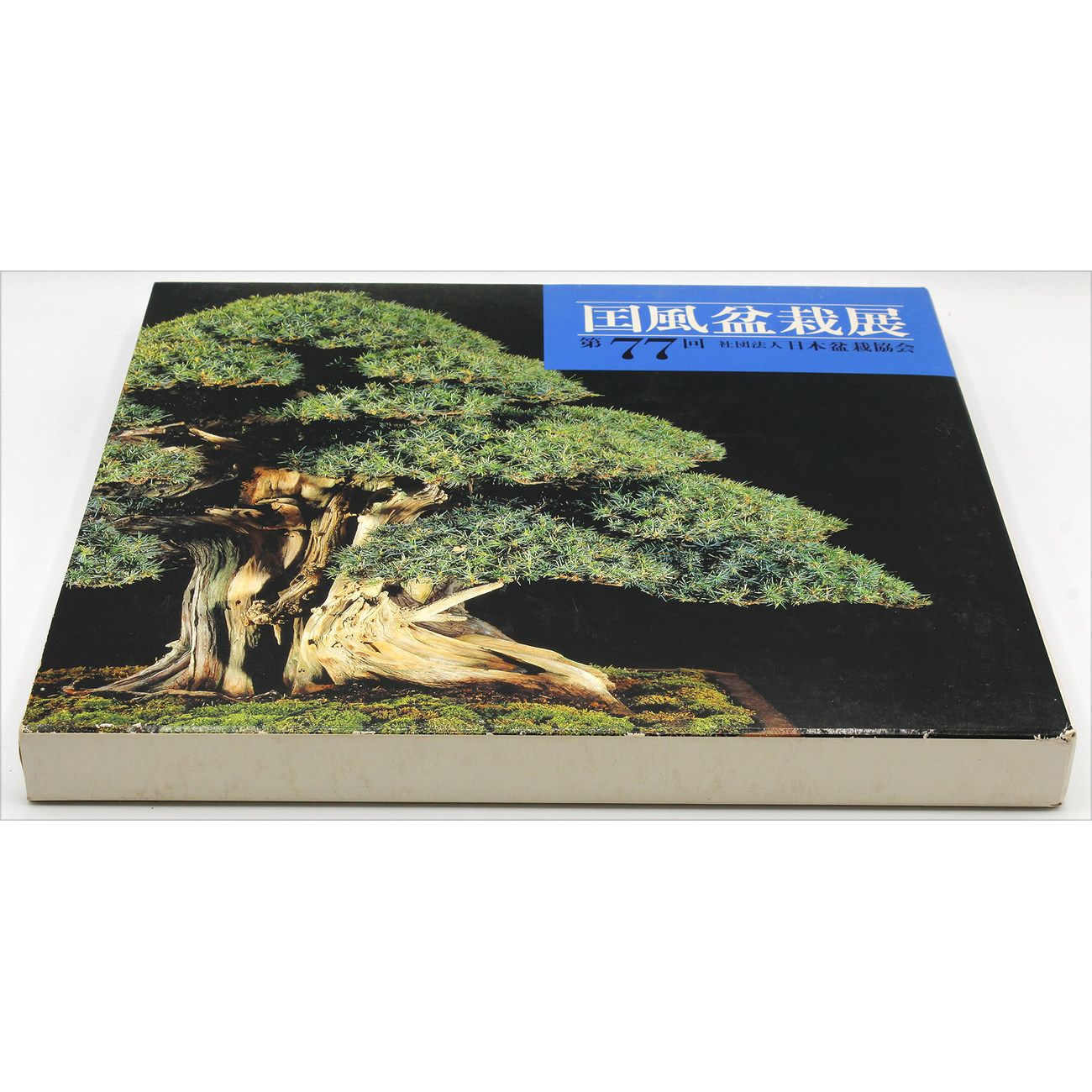 KOKUFU 77 BOOK