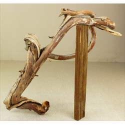 Wood for tanuki bonsai 42