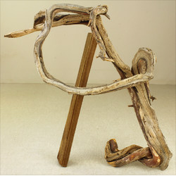 Wood for tanuki bonsai 42 View 2
