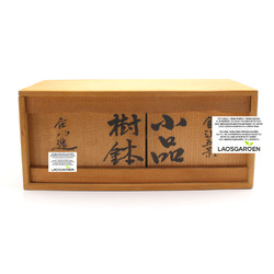 Maceta bonsái JTAP1126 SET SHOUHACHI