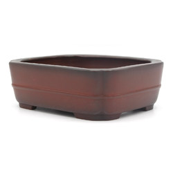 Bonsai pot BIG039 BIGEI View 3
