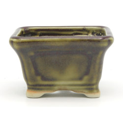 Bonsai pot JTAP1142 TOSUI MASAO View 3