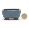 Bonsai pot JTAP686 TOSUI MASAO