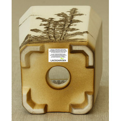 Bonsai pot Y3822 BUNZAN View 3