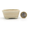 Bonsai pot JTAP1210 TOSUI MASAO
