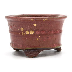 Bonsai pot JTAP215 TOSUI MASAO View 3