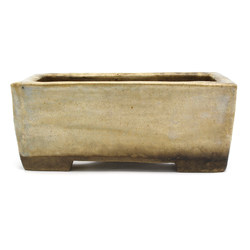 Bonsai pot JTAP1220 TOFUKUJI