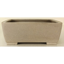 Bonsai pot JTA7167 SHIGHEARU