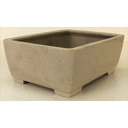 Bonsai pot JTA7167 SHIGHEARU View 2