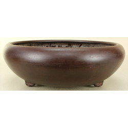 Bonsai pot JTA7496 TAZAN