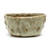 Bonsai pot JTAP1231 SHUHO SETO