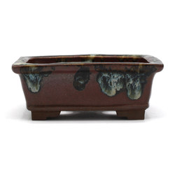 Bonsai pot JTAP1241 BANKO SHUNZAN