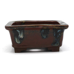 Bonsai pot JTAP1241 BANKO SHUNZAN View 4