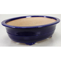 Bonsai pot JTA7384 SEIZAN REIHOU View 2