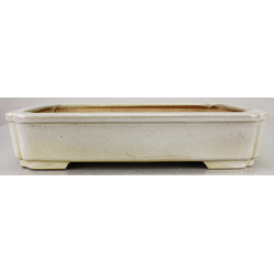 Bonsai pot JTA7274 HATTORI