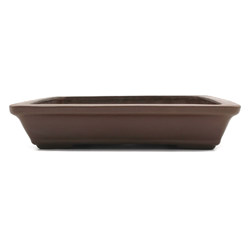 Bonsai pot JTA7520 YAMAAKI TOSHIO