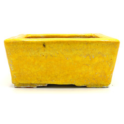 Bonsai pot JTA7523 BUSHUAN View 2