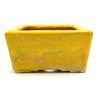 Bonsai pot JTA7523 BUSHUAN View 4