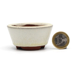 Bonsai pot JTAP1255 YOUZAN EIMEI