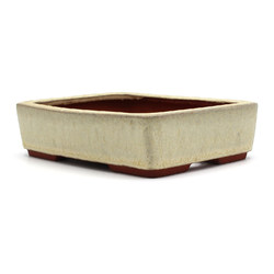 Bonsai pot JTAP1290 YOUZAN MASAKAZU