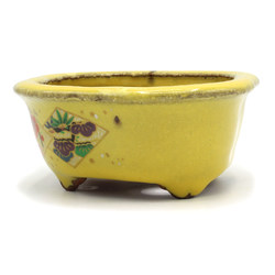 Bonsai pot TOK409 HATTORI